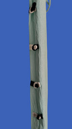 Load image into Gallery viewer, The Sea ‘Sonny’ Set
