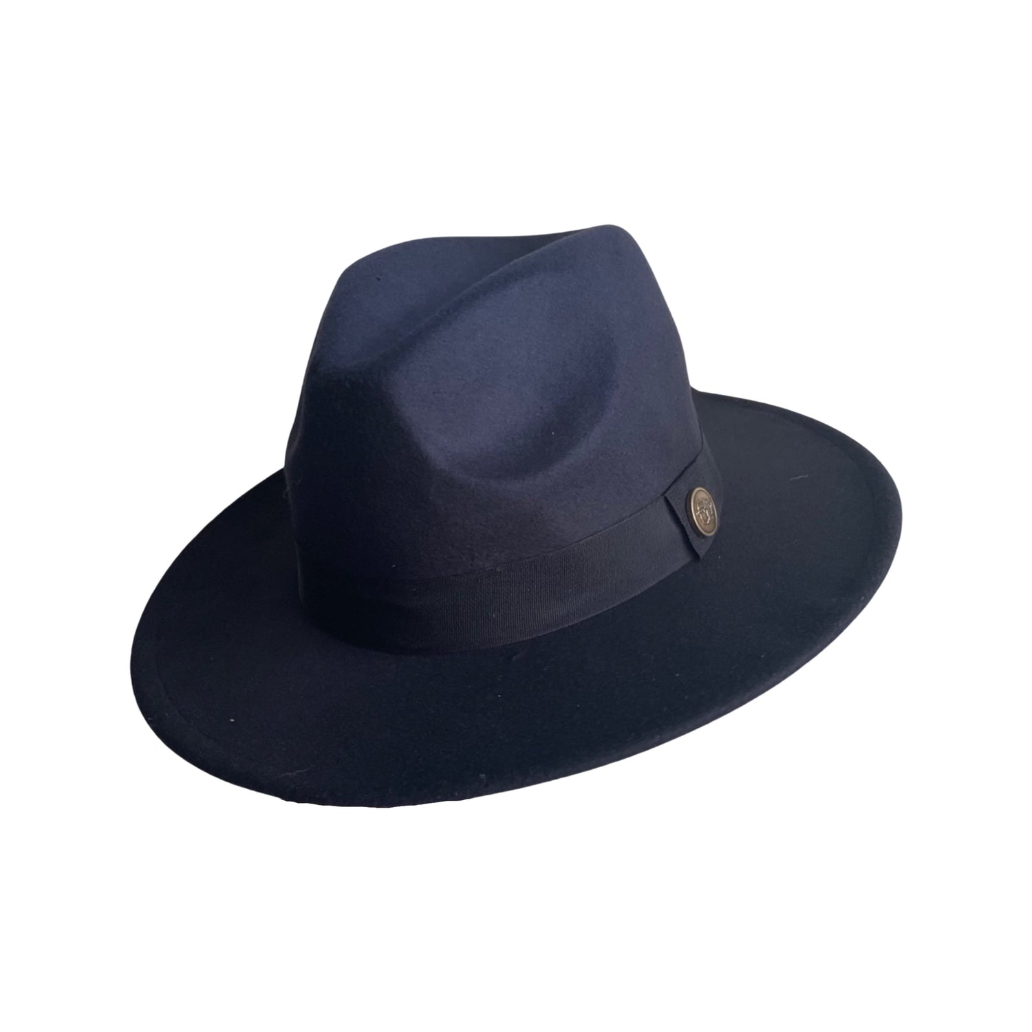 Ombre Fedora